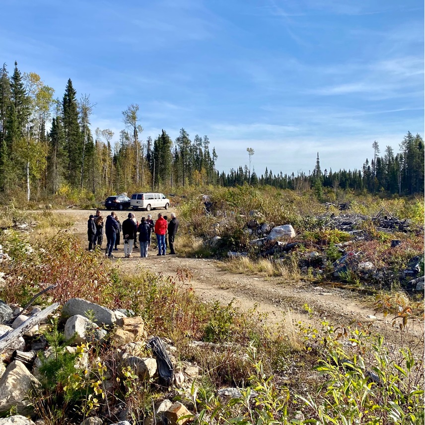 Canada’s Boreal:&nbsp; how investors can widen their stewardship efforts on nature